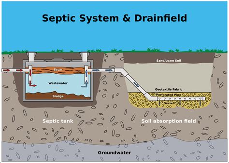 How Much Does Septic Tank Pump Out Near Me Really Cost?