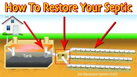 How to Choose the Best Drain Field for Septic Tank for Your Needs?