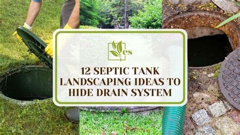 How to Choose the Best Septic Tank Cover Ideas for Your Needs?