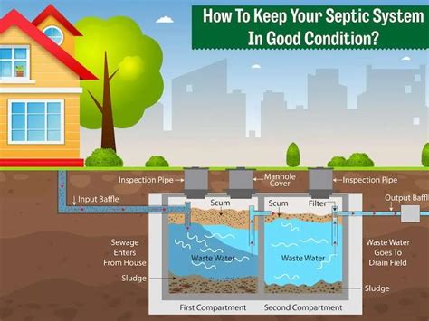 How to Choose the Best Top Rated Septic Tank Treatment for Your Needs?