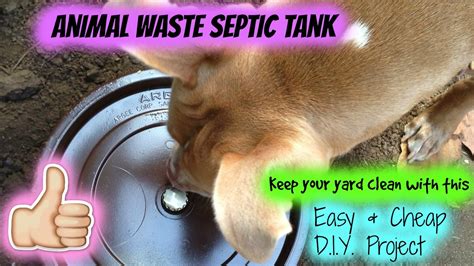 What Are the Benefits of Dog Septic Tank?