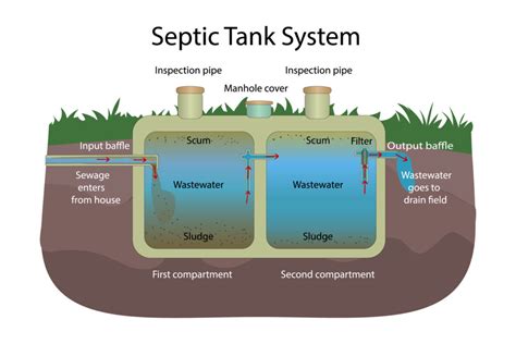 What Are the Benefits of Septic Tank Drainfield?