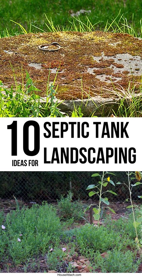 What Are the Benefits of Septic Tank Landscaping Ideas?