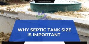 Why Is Septic Tank Bacteria Important for Homeowners?